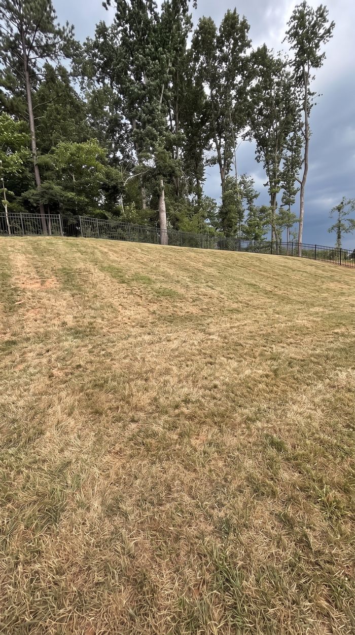 Slope Before the Wall in Charlotte, NC